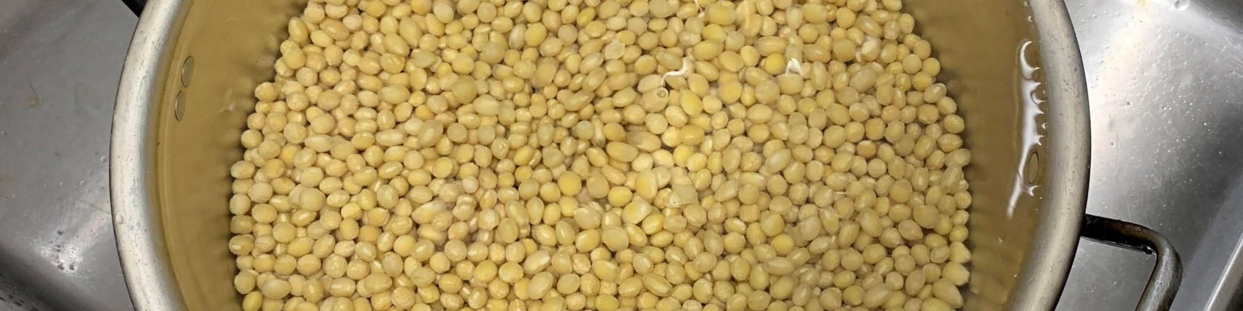 手前みそづくり体験(お∼フクロの味)でおいしい米糀味噌を作りませんか!